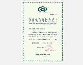 规范化杰出行动证书